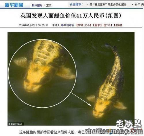 湖南发现人面鲤鱼 与人的五官十分相似"嘴巴""鼻子"清晰可见
