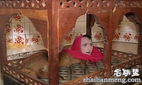 揭巴基斯坦人头狐狸身真相曝光