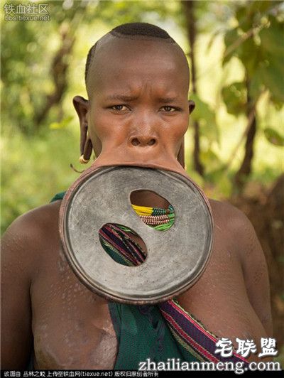 吓人!全球上最大的唇盘 称嘴大陪嫁的牛畜越多！