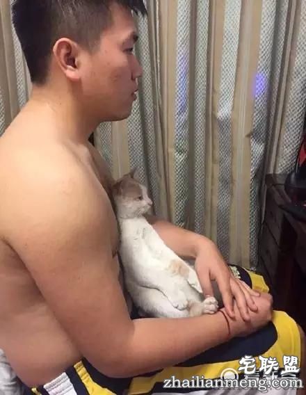 一头长得好像猫的猪，最后那张......