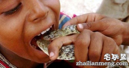 探秘!蛇人部落 毒蛇当嫁妆!