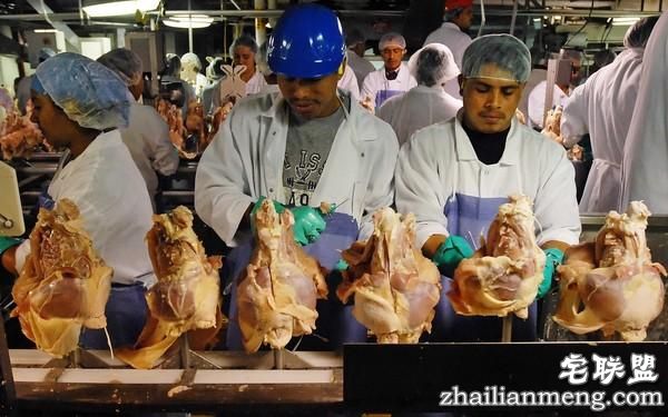 美大型家禽业禁员工上厕所