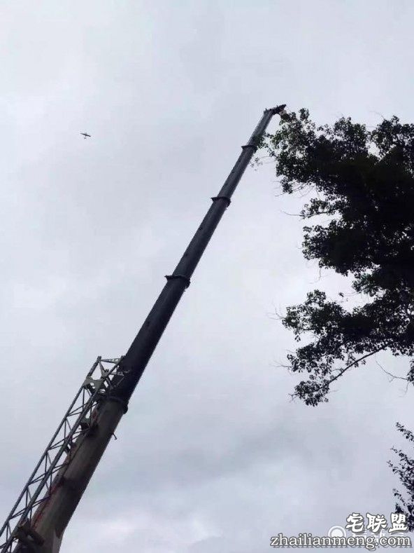 男子坐滑翔伞空中求婚 耍帅不成反被风刮到树上