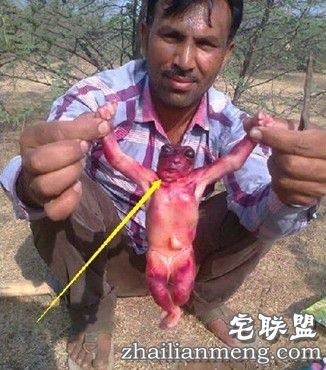 印度村民挖到怪物酷似外星人 神秘生物吓呆众人！