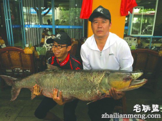 成都父子钓起百斤鳡鱼 较量3小时险被大鱼拉走