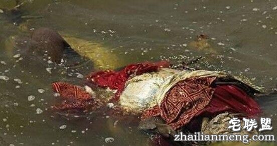 令人恶心的印度水葬:尸体被野狗随意啃食 能看完算你牛逼！