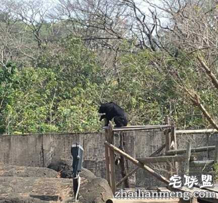 遭家暴30年不离婚，说：熬到打不动就好了。