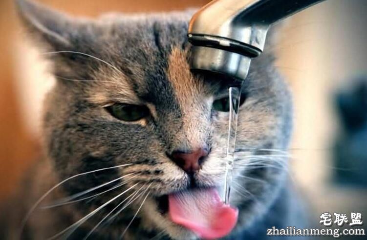 喝水小常识：多喝水的好处及喝水的最佳时间表