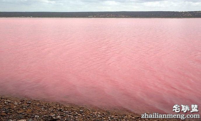 澳大利亚粉色希勒湖 世上最浪漫的风景圣地！