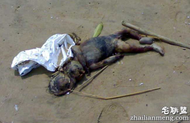 世上水猴子真的存在吗?以为是吓唬人的把戏,没想到真的存在