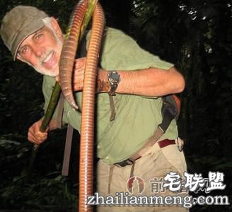 怪物级!巨型蚯蚓长达1.5米吓死人！