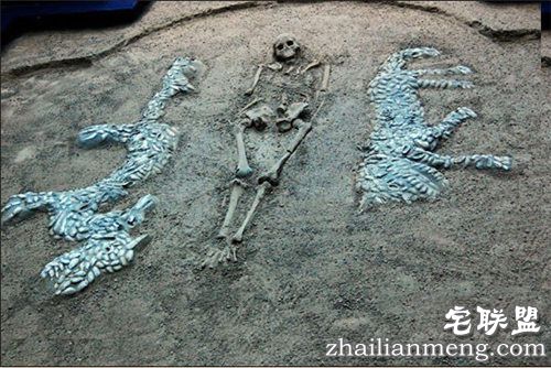 中华第一龙 中华民族的图腾文化