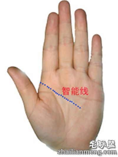 男人看手相算命图解:教你如何看男人手相