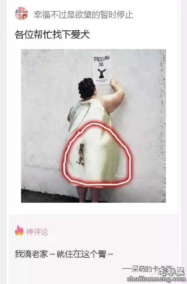 神评论：我滴老家，就住在这个臀儿