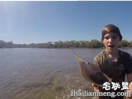 小孩海边玩耍时在水中发现鲨鱼，没想到竟然赤手空拳把它抓起！