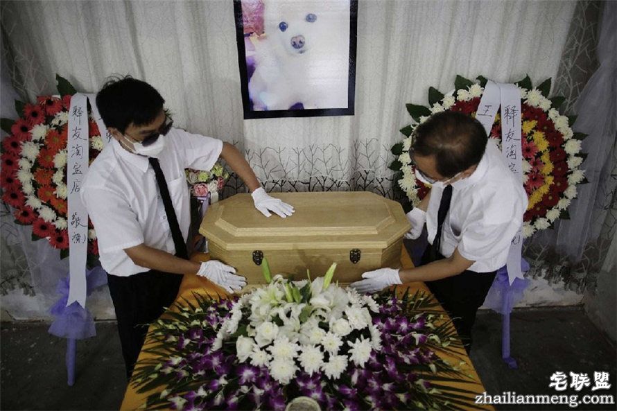 上海现宠物狗最豪华葬礼 百万豪车送行