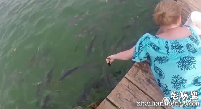 女子在河边喂鱼 下一秒整只手就进了鱼嘴里！