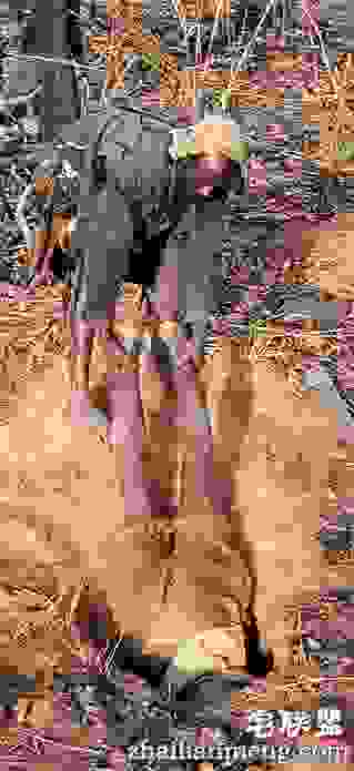 男子在野外看到一奇怪洞穴，没想到进去下一秒被吓傻了