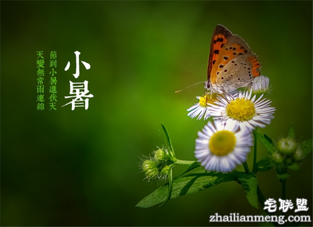 小暑节气谚语大全 句句是真理啊!