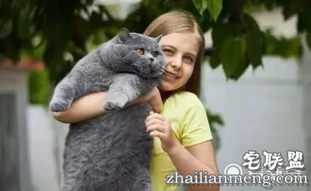 一头长得好像猫的猪，最后那张......