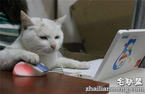 2016年最新网络流行语 句句经典