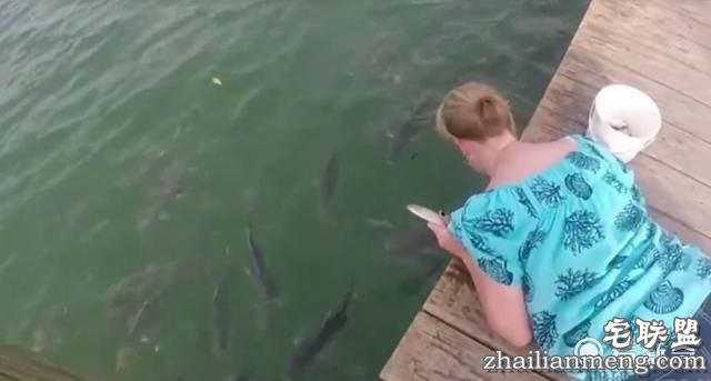 女子在河边喂鱼 下一秒整只手就进了鱼嘴里！