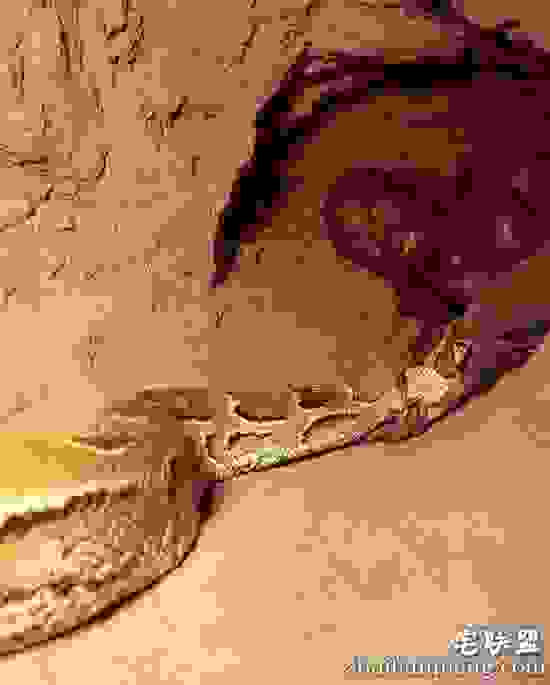 男子在野外看到一奇怪洞穴，没想到进去下一秒被吓傻了