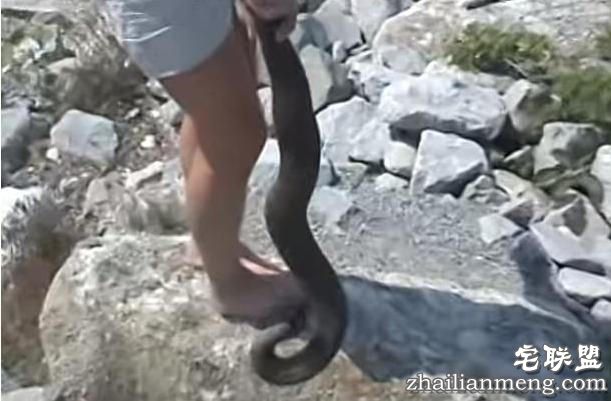 开始不知道她趴在湖边干嘛，但是接下来她的行为令人难以置信！