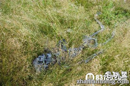 10个全球上最恐怖的地方曝光 够胆来闯！