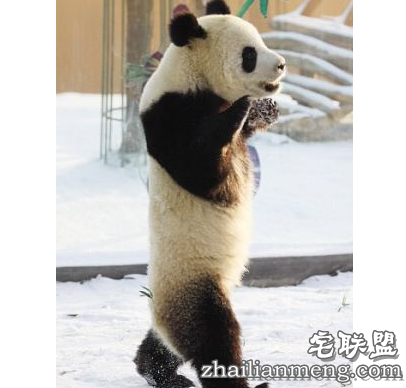 遭家暴30年不离婚，说：熬到打不动就好了。