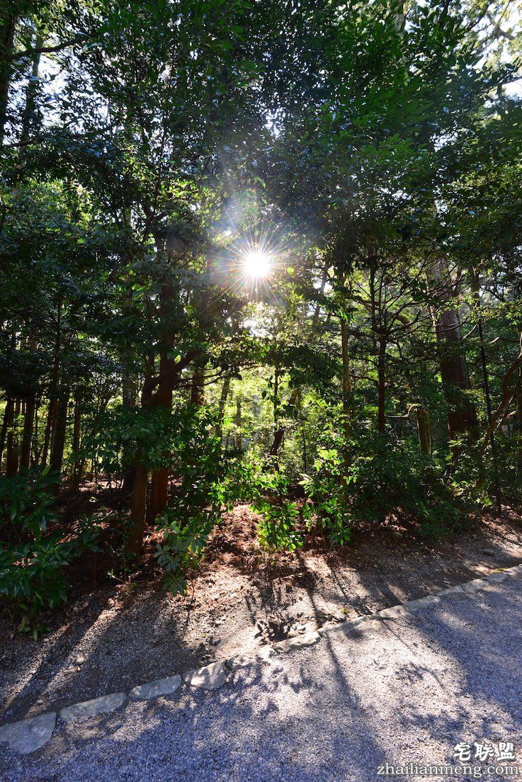 日夜兼程：第五日上午，参访伊势神宫@wildgun的2016早春关西游记