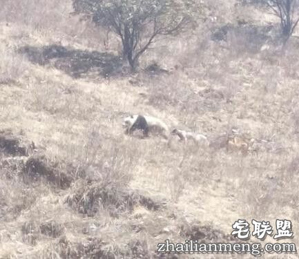 这下知道，不会撩妹的人强撩是什么体验了吧！