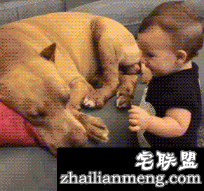 人类和喵星人的逗趣日常 这只猫都长成猪了！