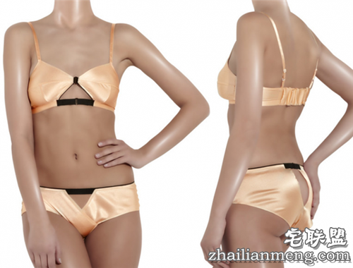 盘点全球十大最贵内衣品牌排名榜！堪称惊世之作！