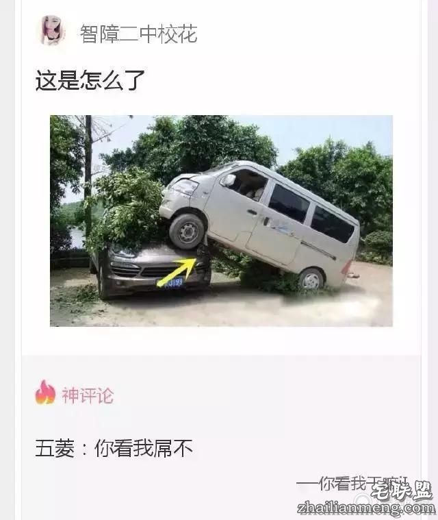 神评论：我滴老家，就住在这个臀儿