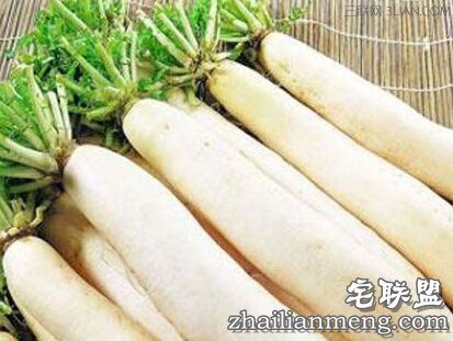 云南村民种出巨型萝:长1.2米 重约30斤 白萝卜的功效与作用