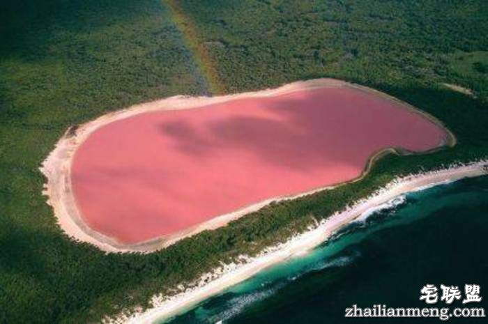 澳大利亚粉色希勒湖 世上最浪漫的风景圣地！