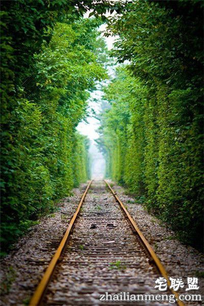 南京江宁的爱情隧道美翻了,不去后悔！