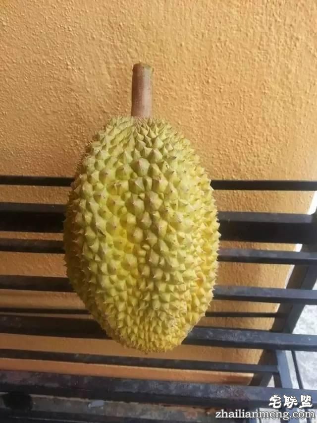 一哥们特别开心说，他花费7元就在网上买到了一个榴莲｜呵呵