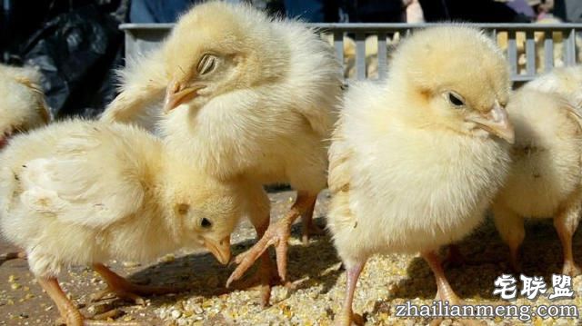 乌兹别克斯坦一城市银行缺钱