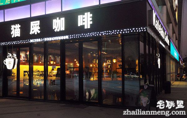 猫屎咖啡的由来 真是用猫屎做的吗?