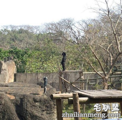 遭家暴30年不离婚，说：熬到打不动就好了。