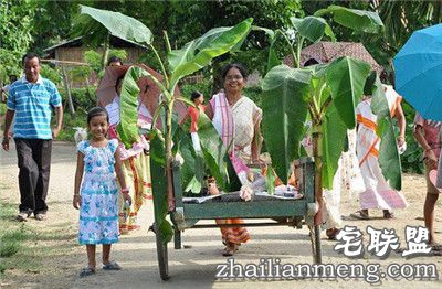 印度奇葩风俗：村民向"雨神"求雨竟然为青蛙举办婚礼