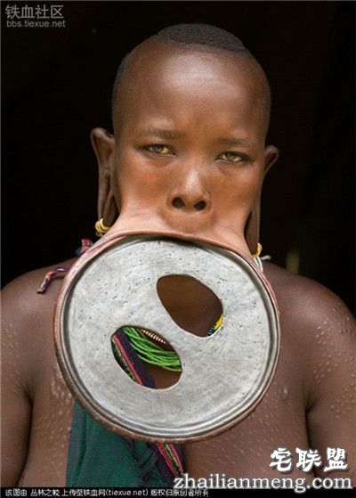 吓人!全球上最大的唇盘 称嘴大陪嫁的牛畜越多！