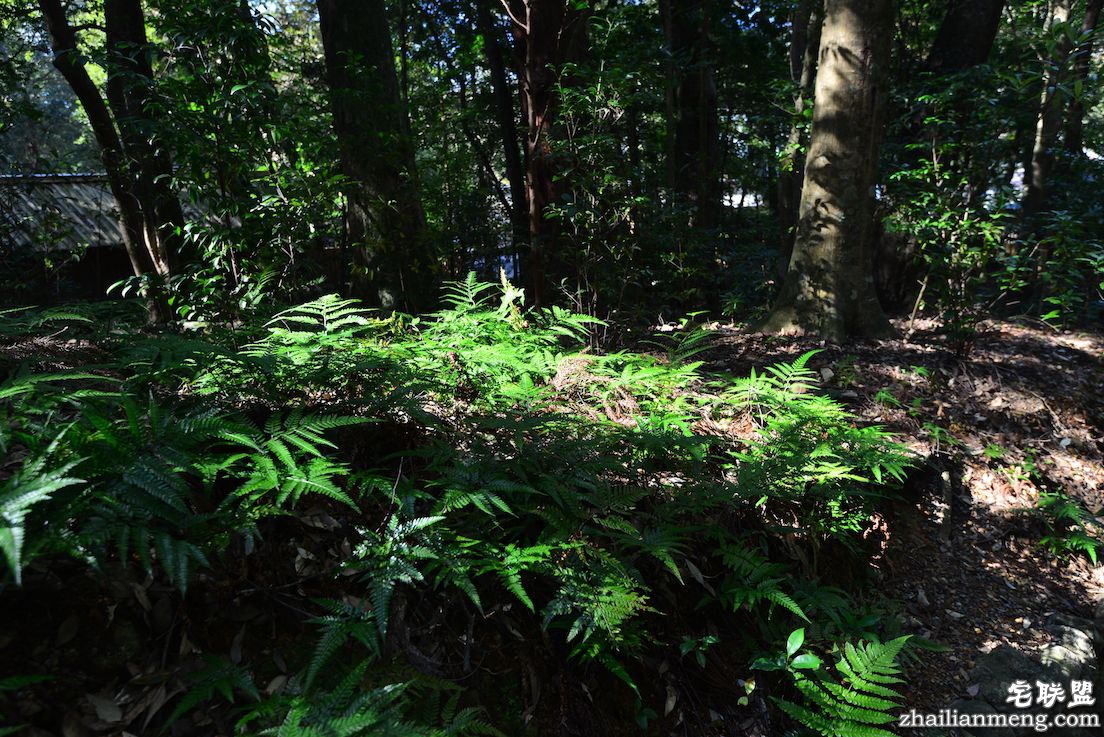 日夜兼程：第五日上午，参访伊势神宫@wildgun的2016早春关西游记