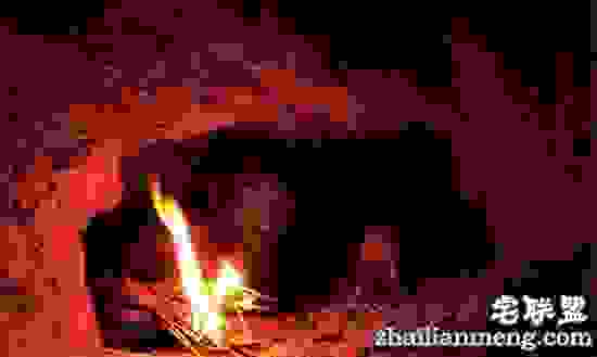 男子在野外看到一奇怪洞穴，没想到进去下一秒被吓傻了