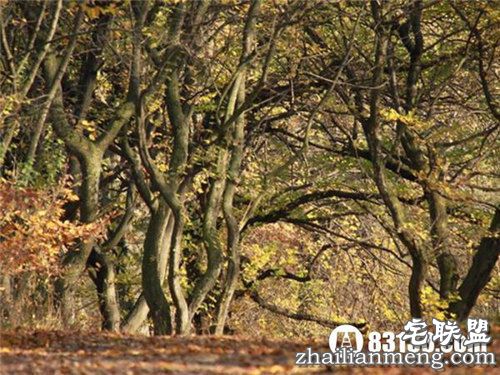 10个全球上最恐怖的地方曝光 够胆来闯！