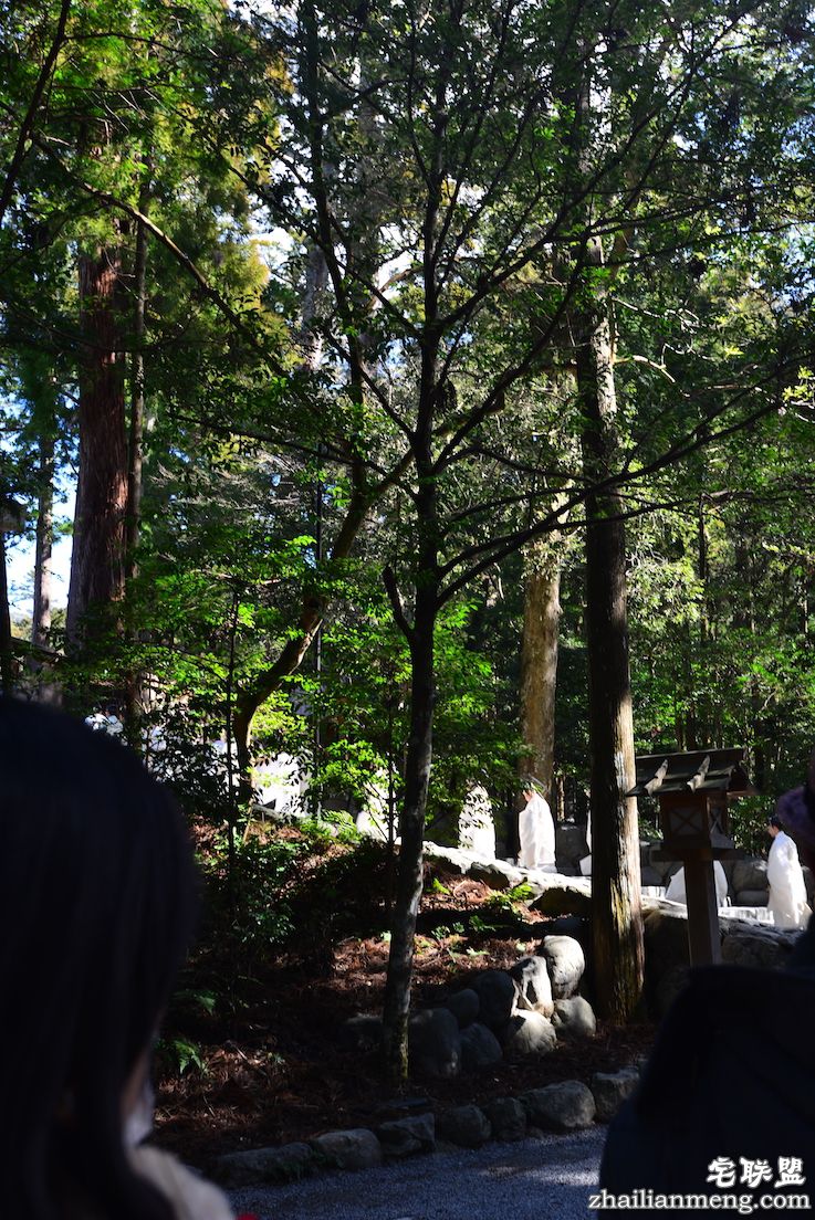 日夜兼程：第五日上午，参访伊势神宫@wildgun的2016早春关西游记