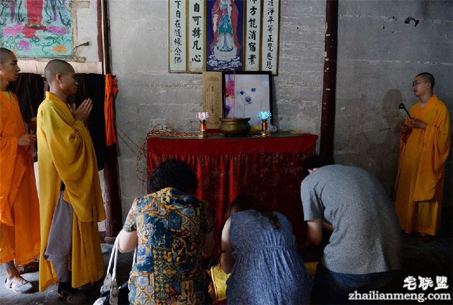 上海现宠物狗最豪华葬礼 百万豪车送行