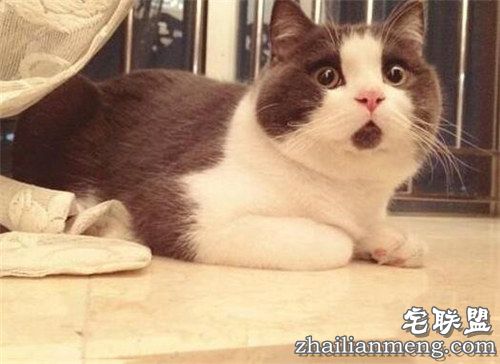 2016年最新网络流行语 句句经典